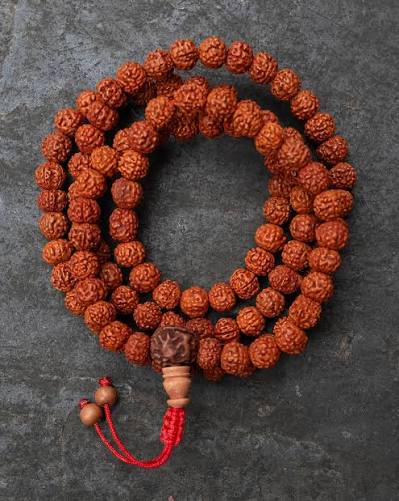 Rudraksha — Gemstones by Laxmi Gold Palace, Kolkata